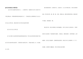 金毛犬应该怎么打理毛发