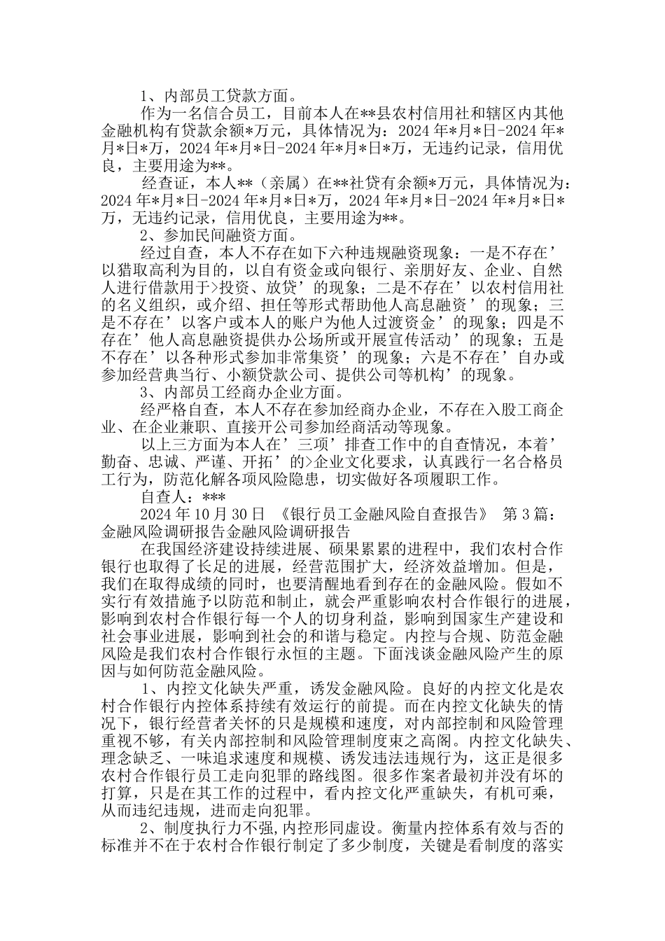 金融风险自查报告_第2页