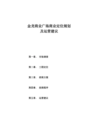 金龙商业广场商业定位规划及运营建议