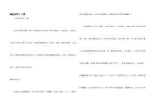 钢笔说明文15篇