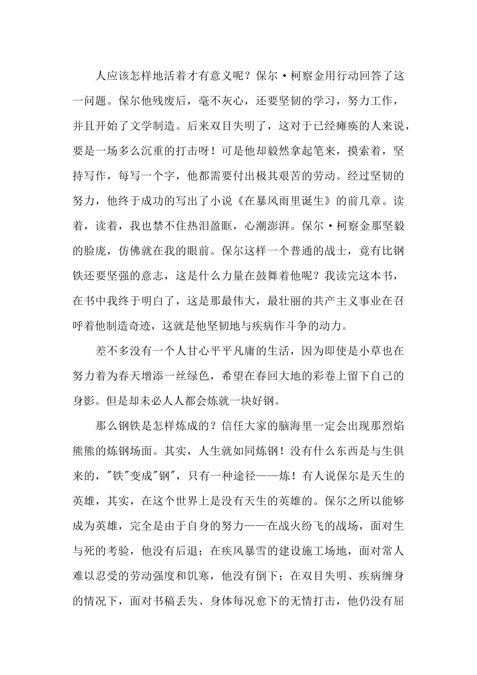 钢铁是怎样炼成心得体会_第3页