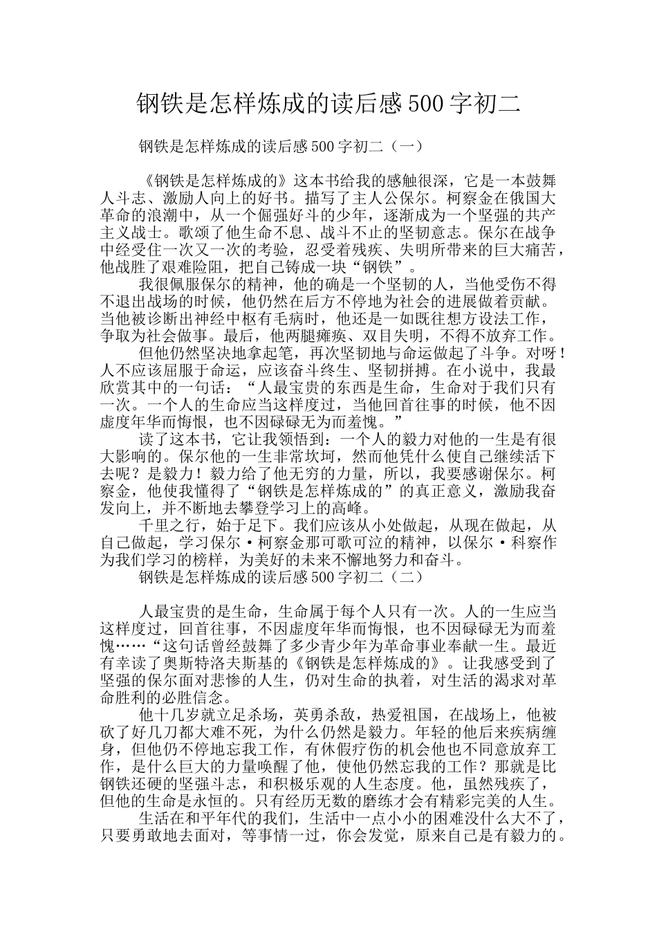 钢铁是怎样炼成的读后感500字初二_第1页