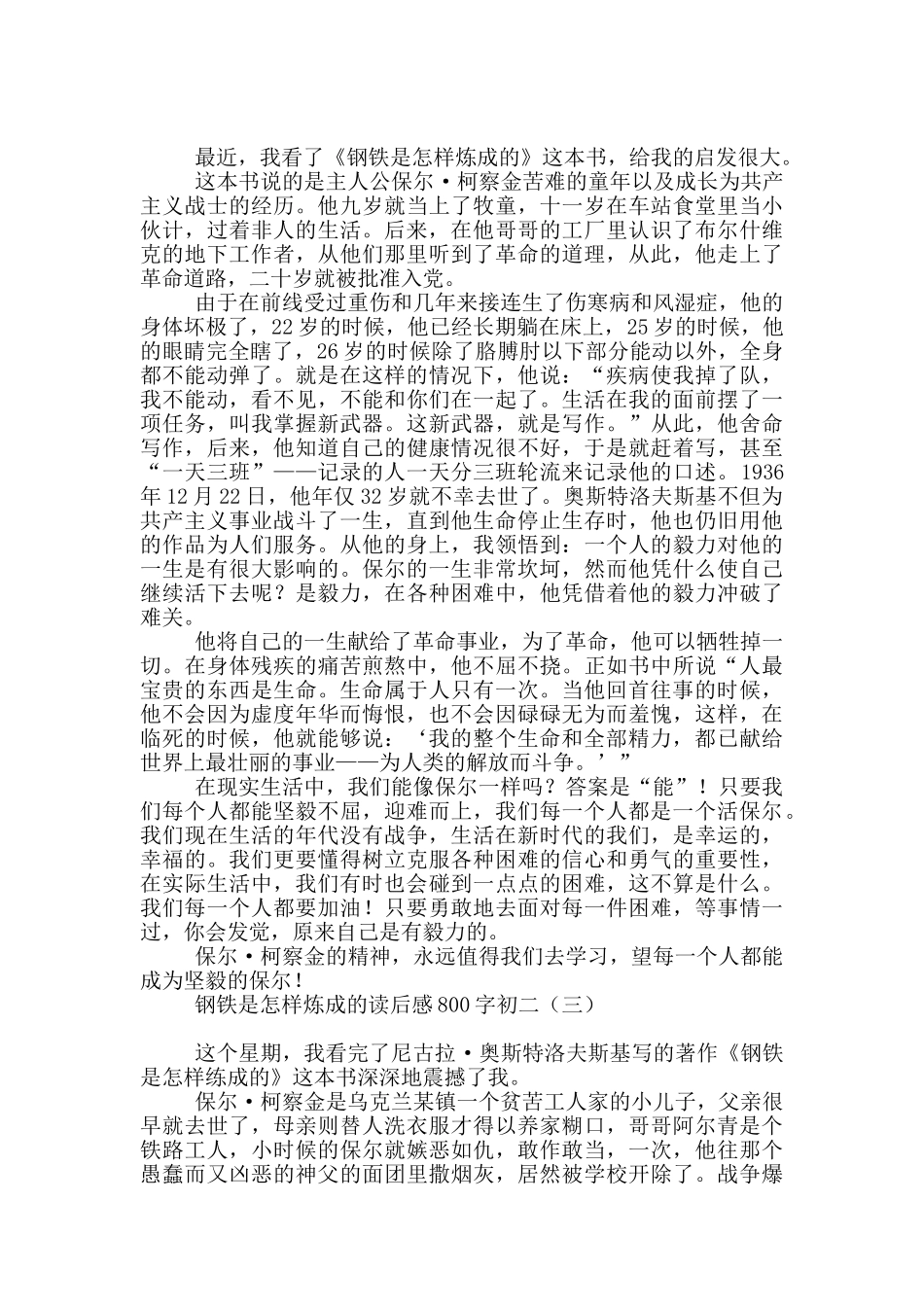 钢铁是怎样炼成的读后感800字初二_第2页