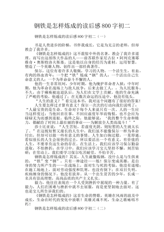 钢铁是怎样炼成的读后感800字初二