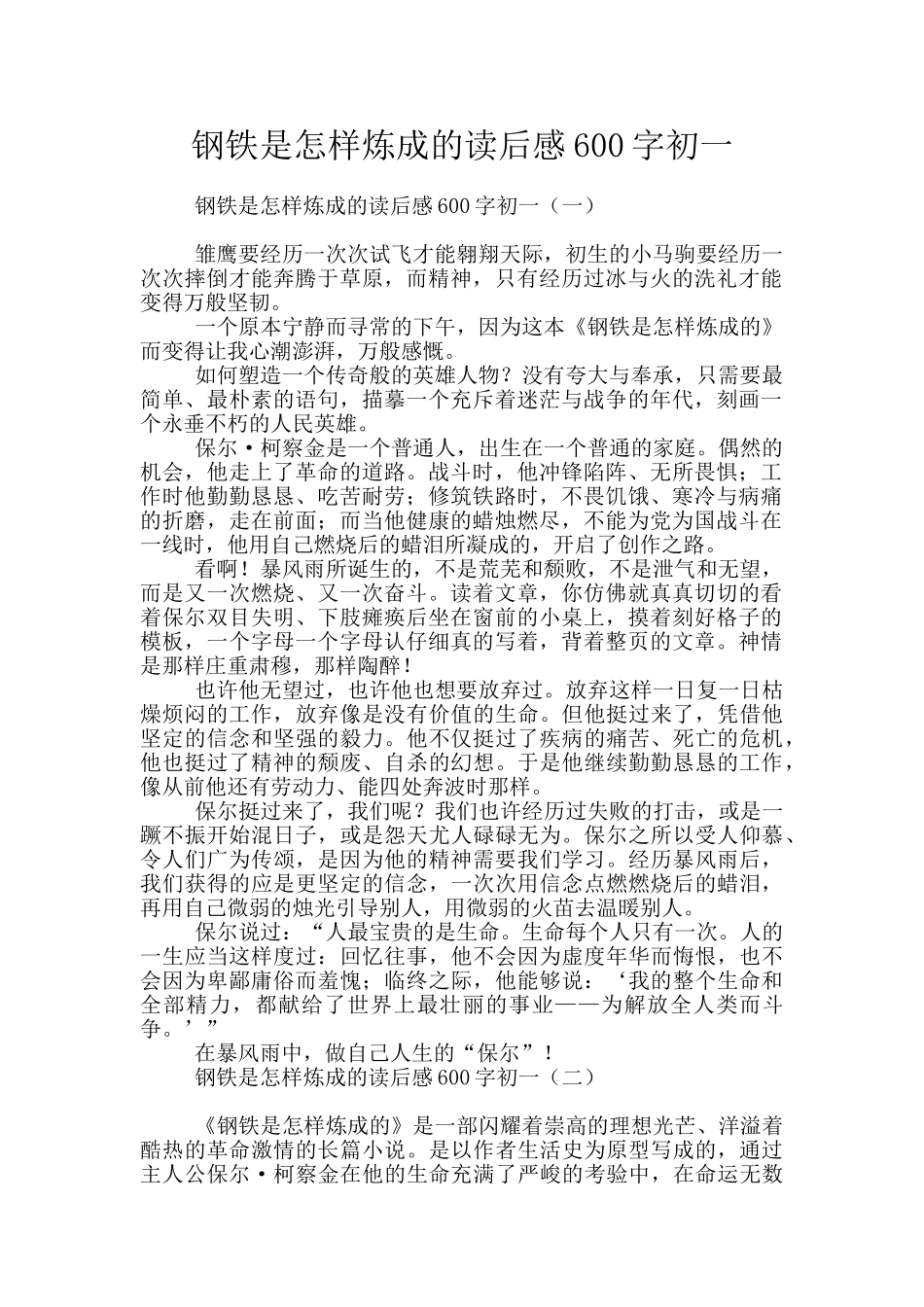 钢铁是怎样炼成的读后感600字初一_第1页