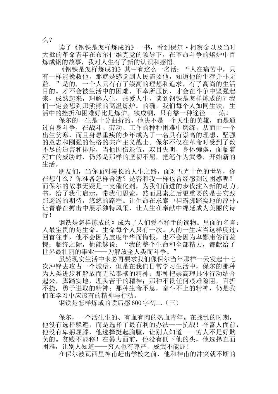 钢铁是怎样炼成的读后感600字初二_第2页