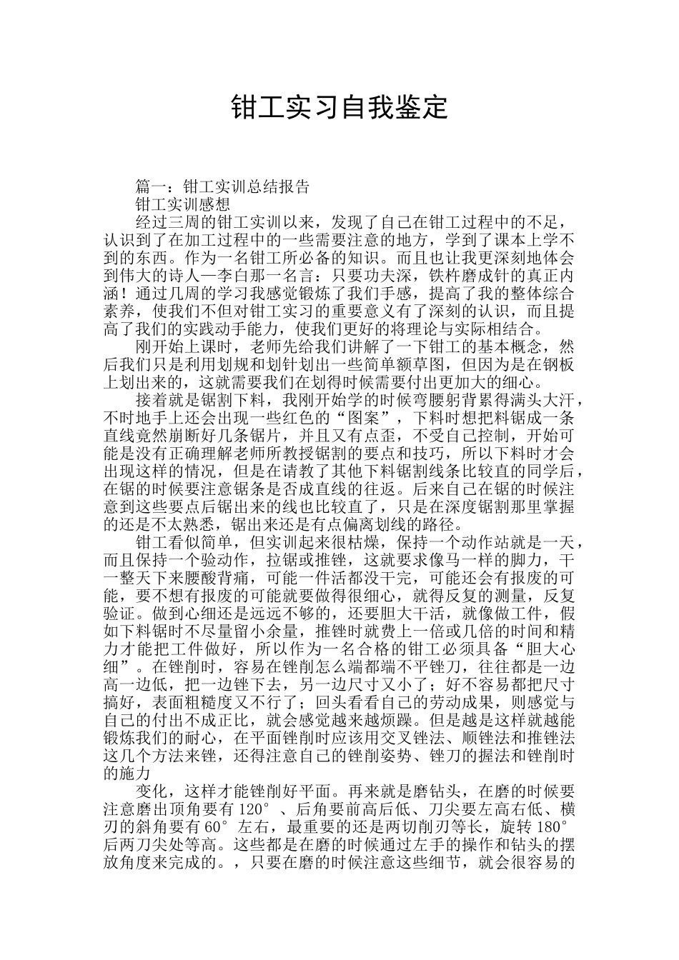 钳工实习自我鉴定_第1页