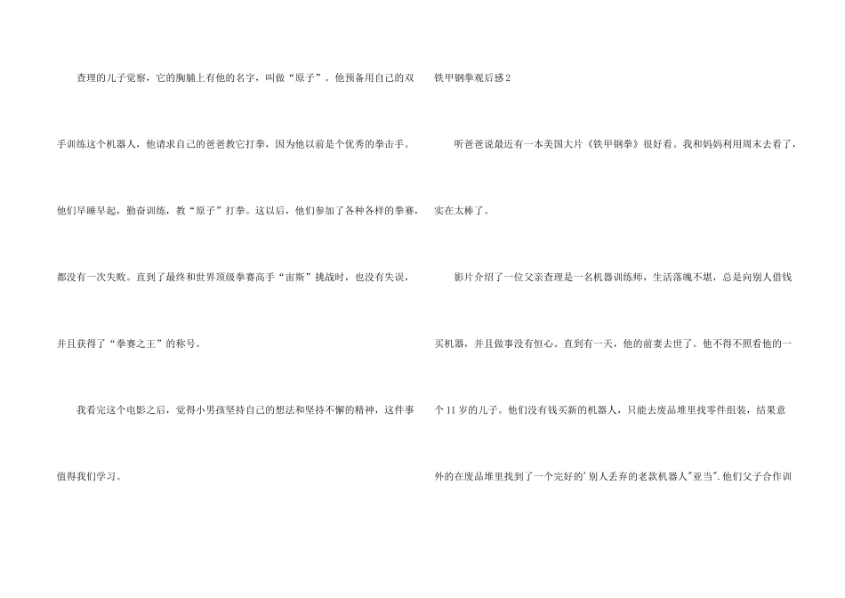 铁甲钢拳观后感_第2页