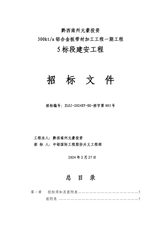铝板带项目招标文件