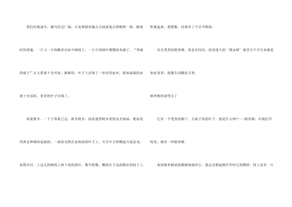 银杏树的说明文_第2页
