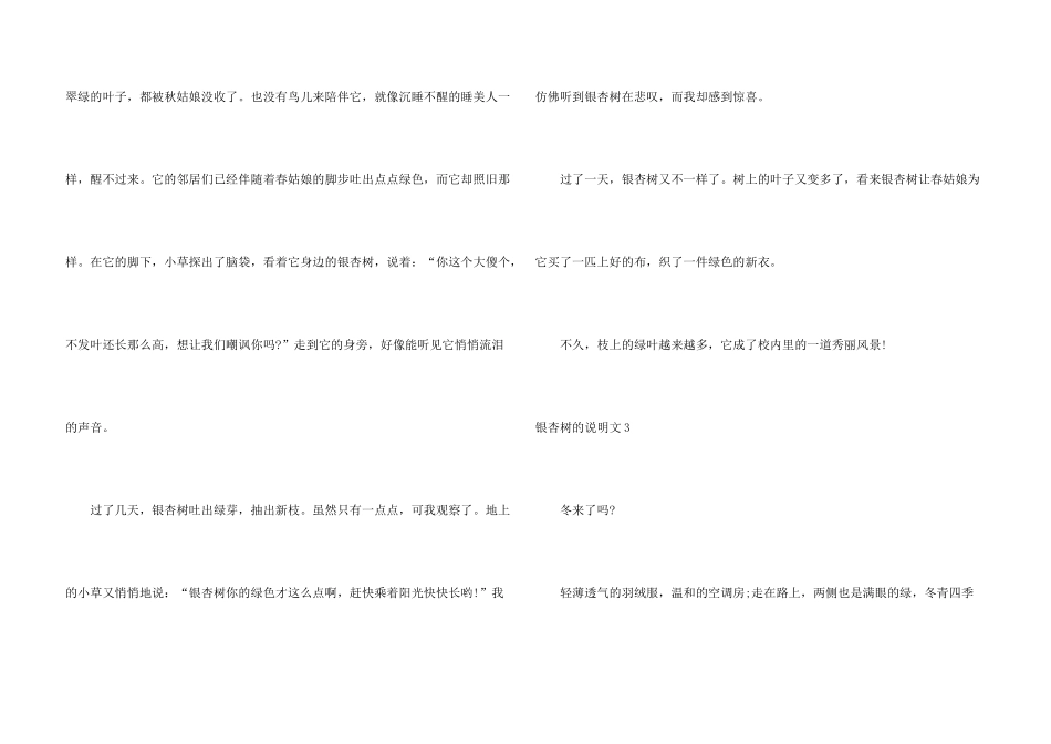 银杏树的说明文_第3页