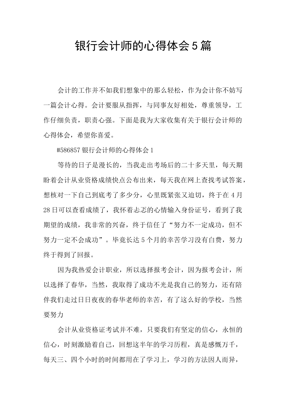 银行会计师的心得体会5篇_第1页