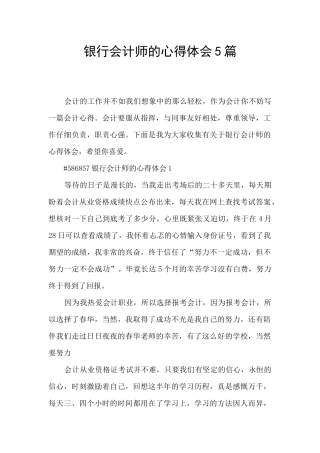 银行会计师的心得体会5篇