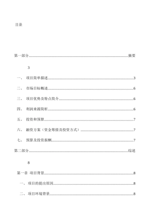 下沙网站项目商业计划书