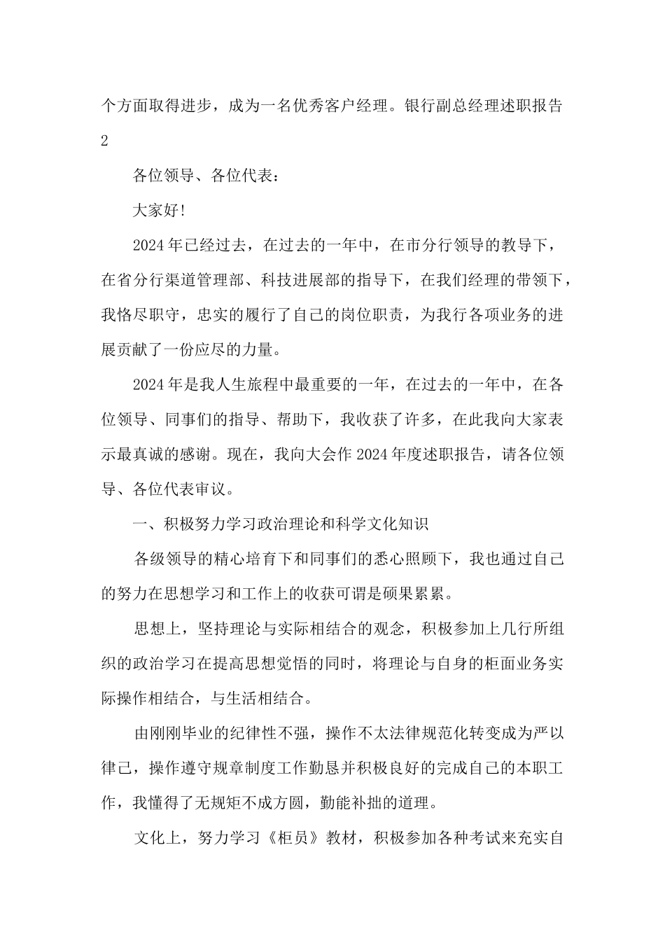 银行副总经理年终工作述职报告_第3页