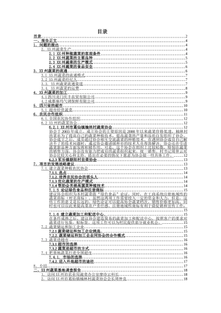 小农户项目某蔬菜基地发展战略研究