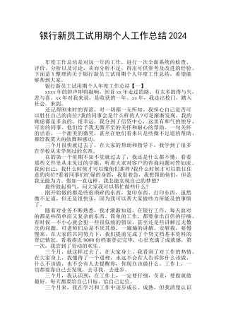 银行新员工试用期个人工作总结2024