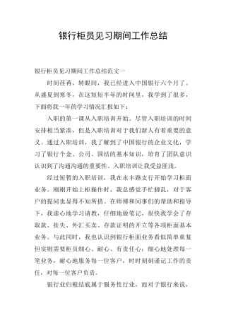 银行柜员见习期间工作总结