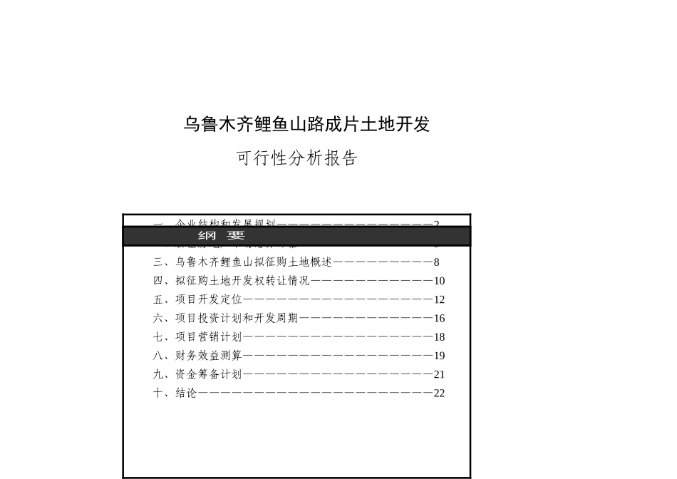 新疆鸿福房地产某项目可行性报告_第1页