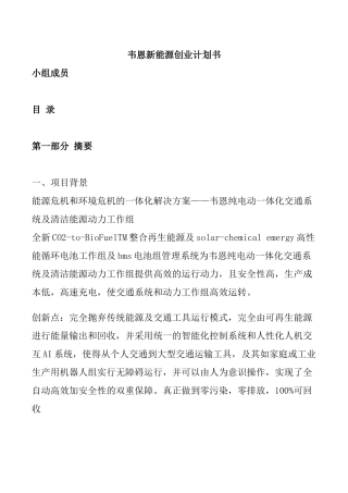 新能源创业计划书