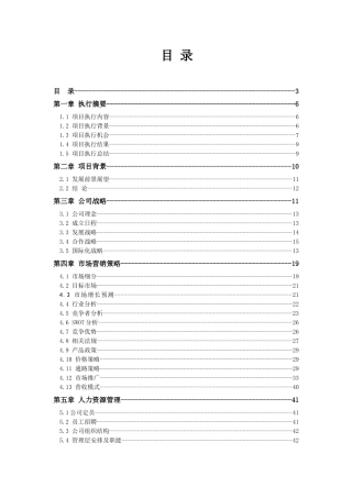 新商业信息技术有限公司商业计划书