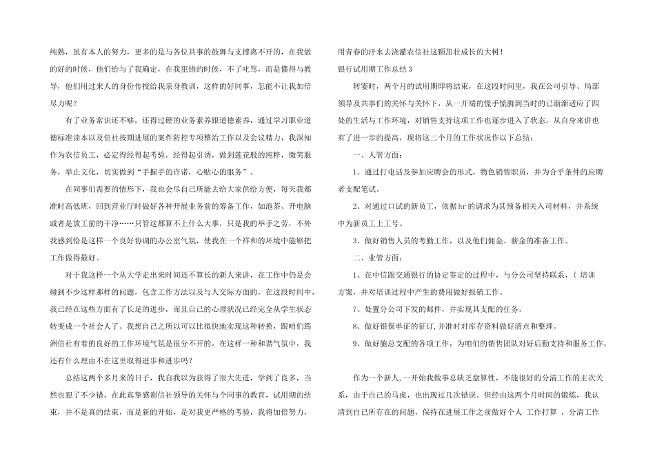 银行试用期工作总结_第3页
