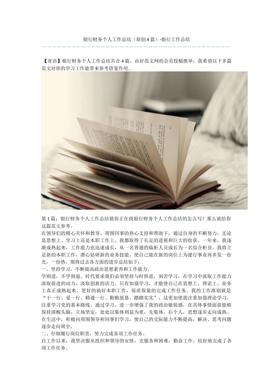 银行财务个人工作总结_第1页