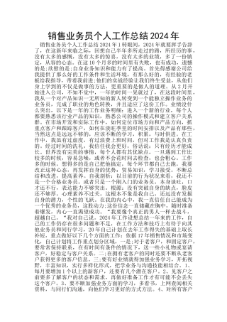 销售业务员个人工作总结2024年