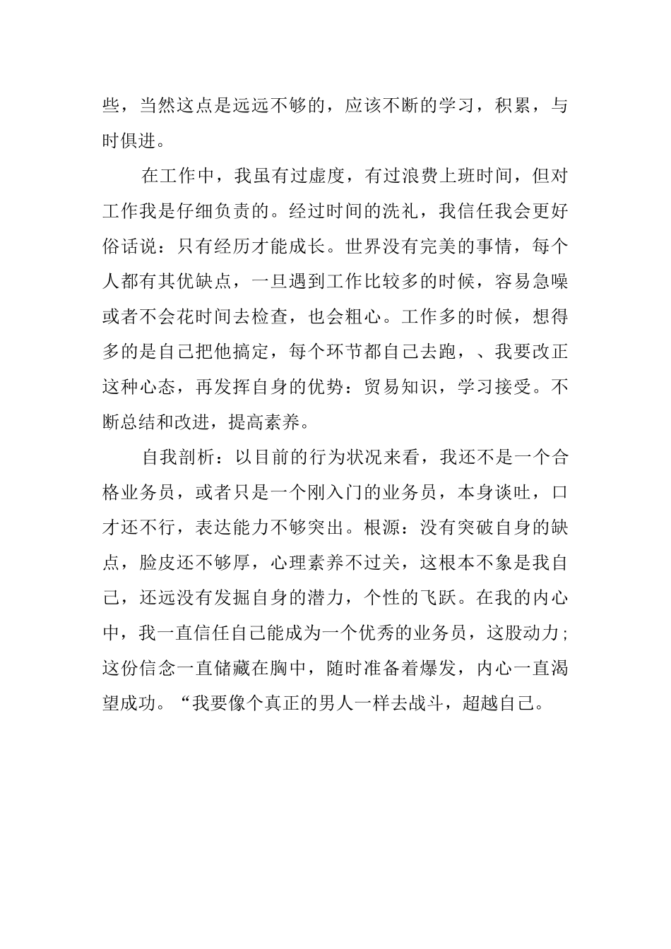 销售业务员个人工作总结范文2024_第2页