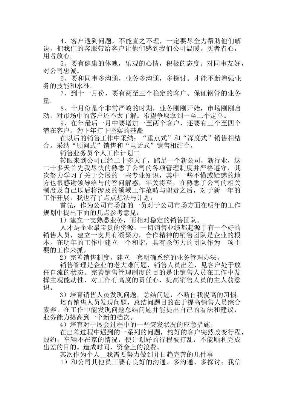 销售业务员个人工作计划5篇2024_第2页
