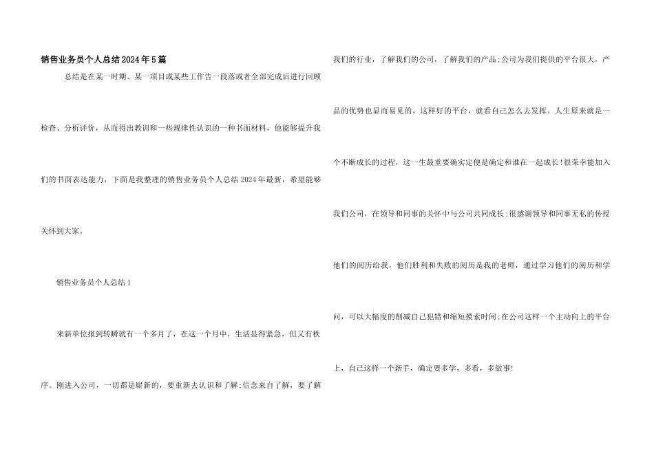 销售业务员个人总结2024年5篇_第1页