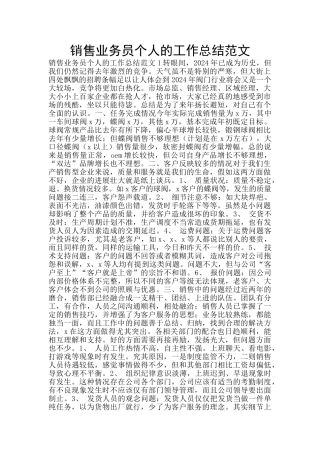 销售业务员个人的工作总结范文