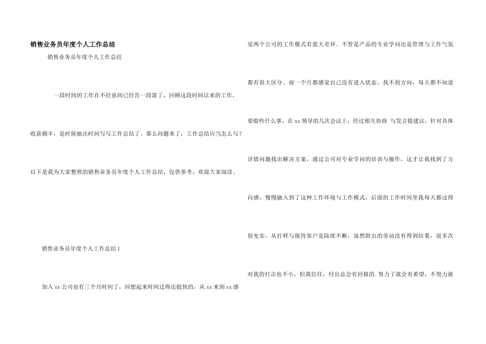 销售业务员年度个人工作总结_第1页