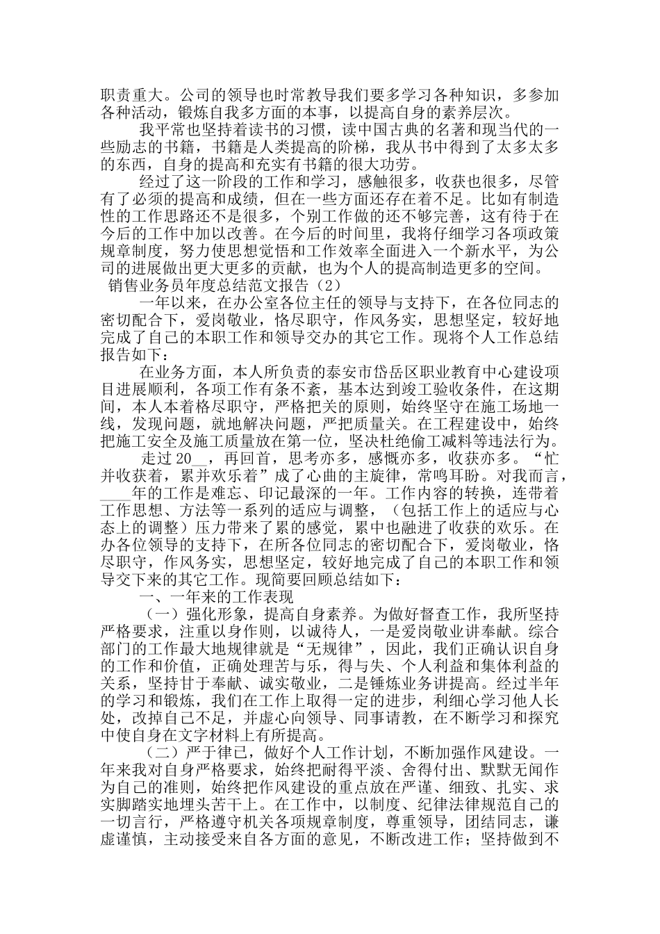 销售业务员年度总结范文报告_第2页