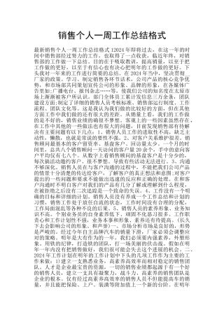 销售个人一周工作总结格式