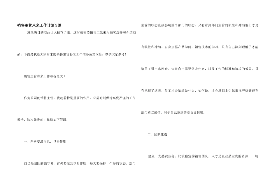 销售主管未来工作计划5篇_第1页