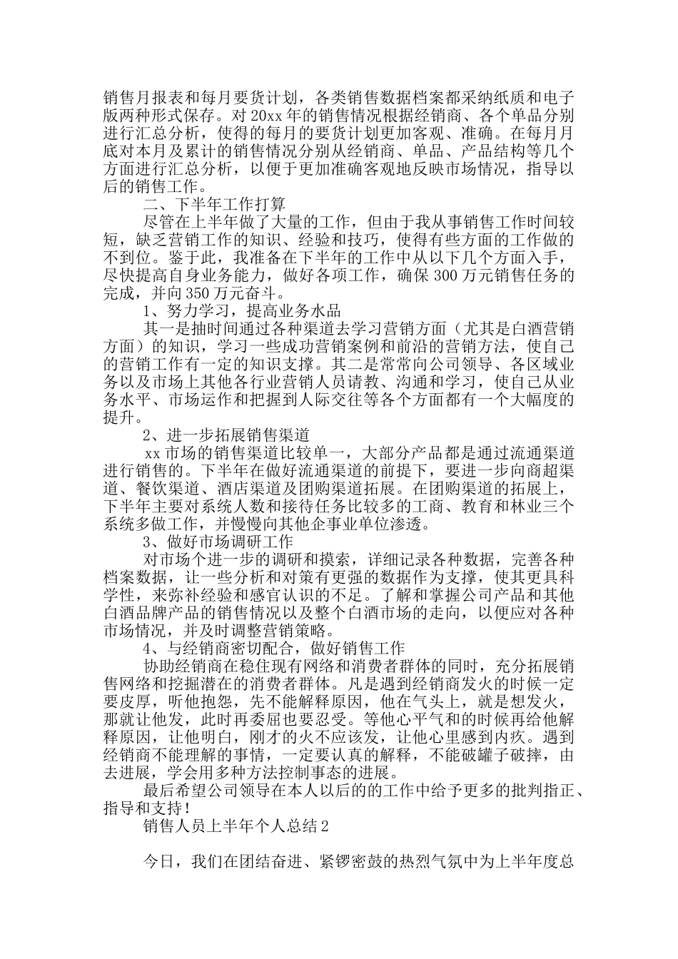 销售人员上半年个人总结_第2页