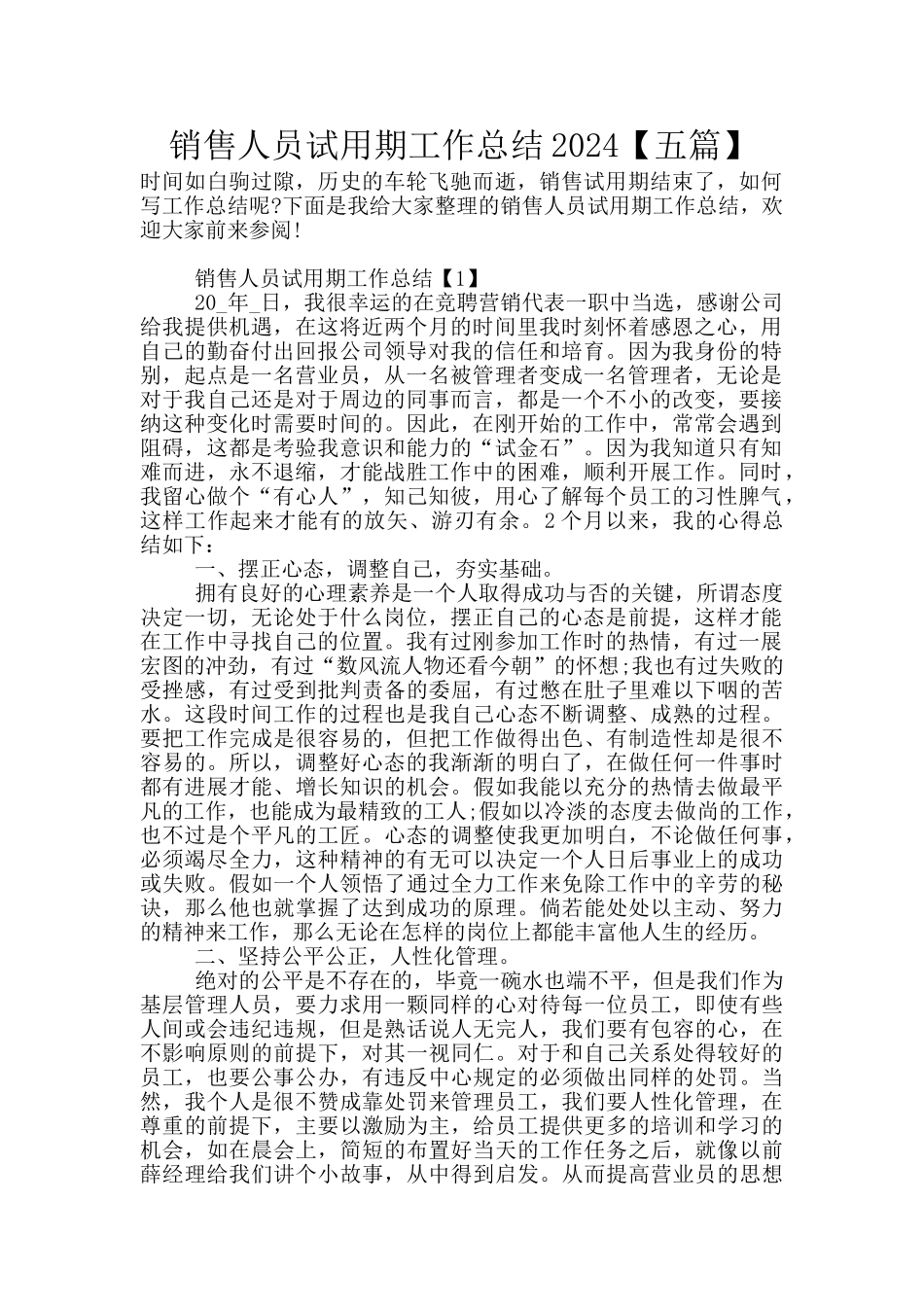 销售人员试用期工作总结2024_第1页