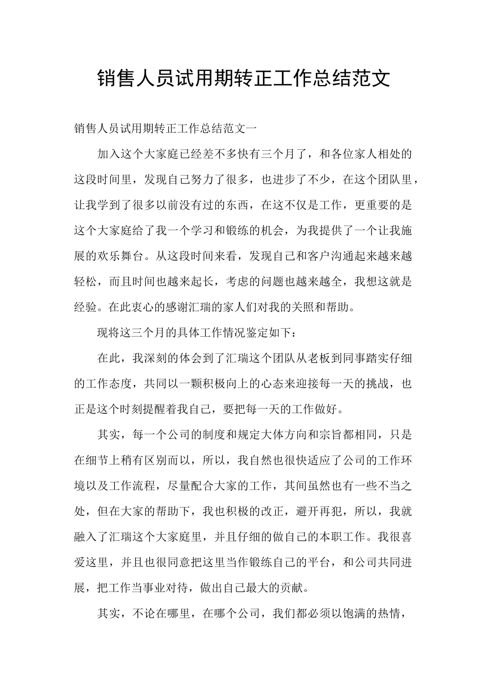 销售人员试用期转正工作总结范文_第1页