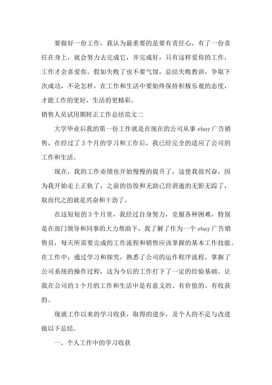 销售人员试用期转正工作总结范文_第3页