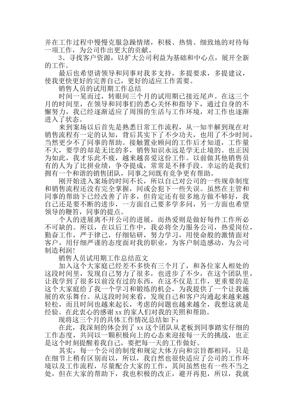 销售人员试用期工作总结_第2页