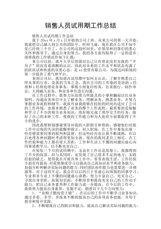 销售人员试用期工作总结
