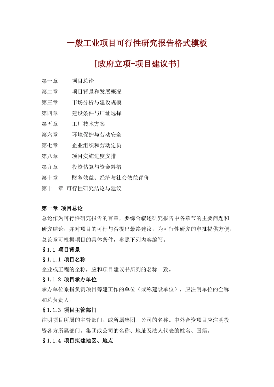 一般工业项目可行性研究报告格式模板_第1页
