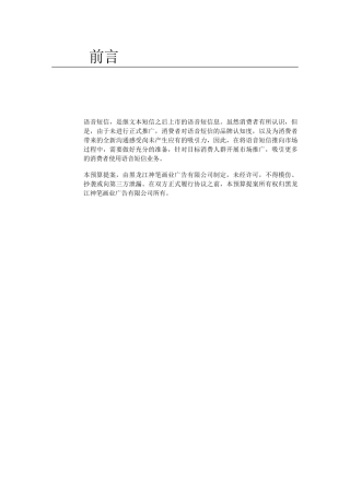 语音短消息市场推广媒体预算
