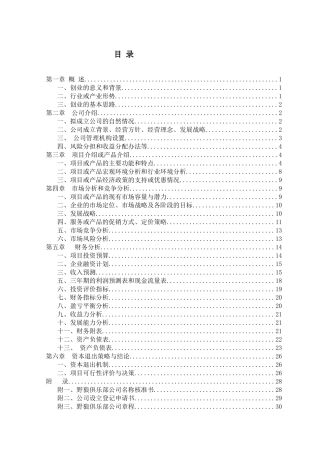 真人CS野狼俱乐部创业计划书
