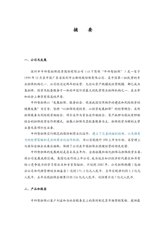 智担保投资股份有限公司商业计划书