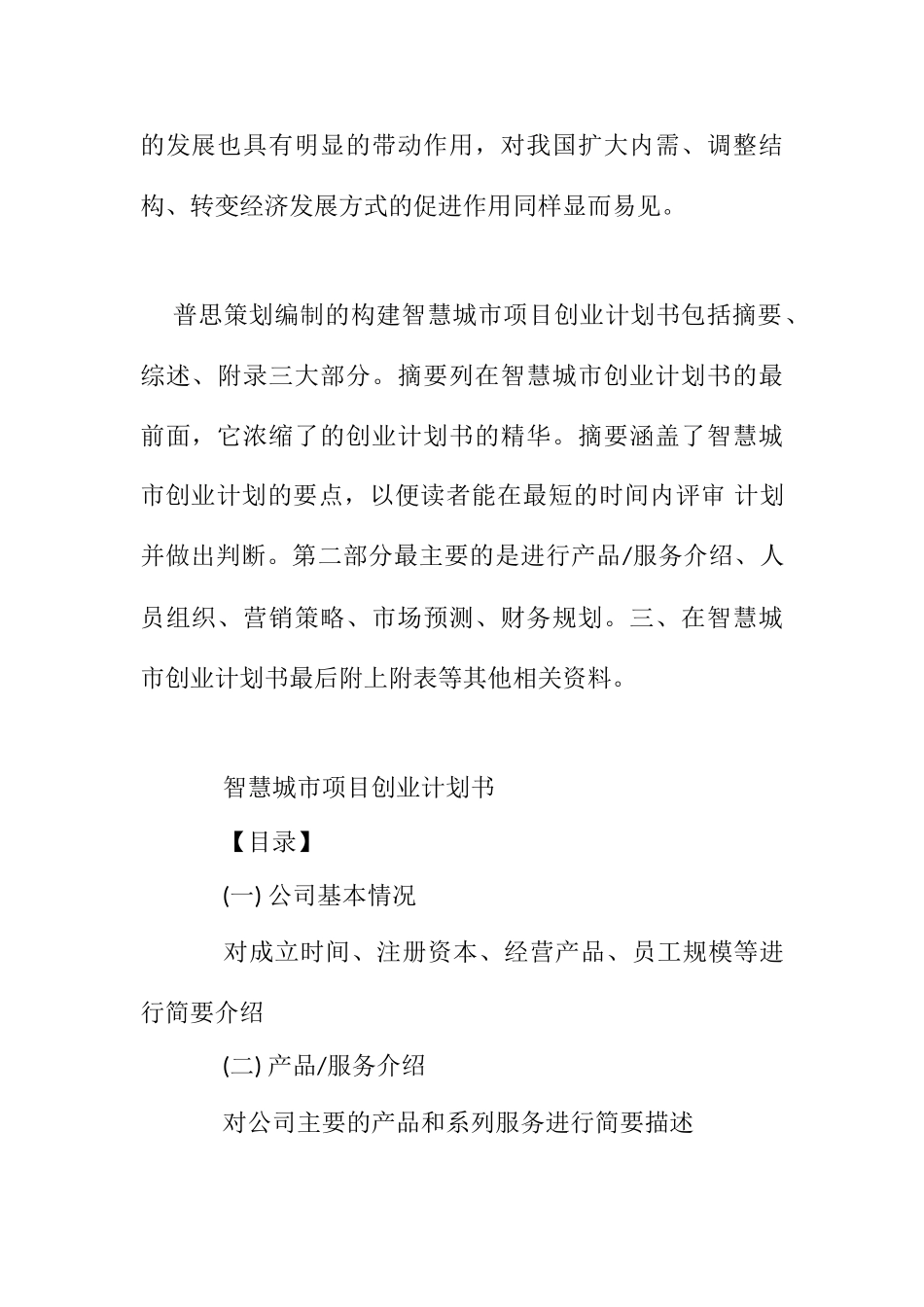 智慧城市项目创业计划书_第2页