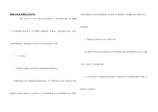 销售出纳试用期的自我评定