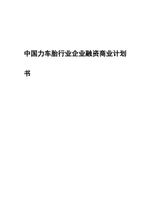 中国力车胎行业企业融资商业计划书