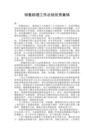 销售助理工作总结优秀集锦
